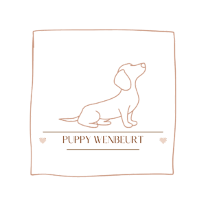 puppy diensten knip & kwispel (logo)